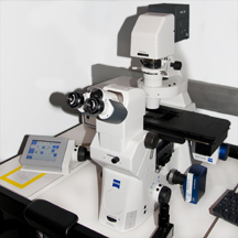 microscope observer price